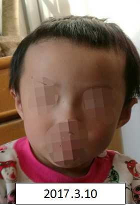 美女操比视频在线观看
